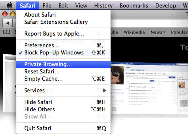 private web search safari